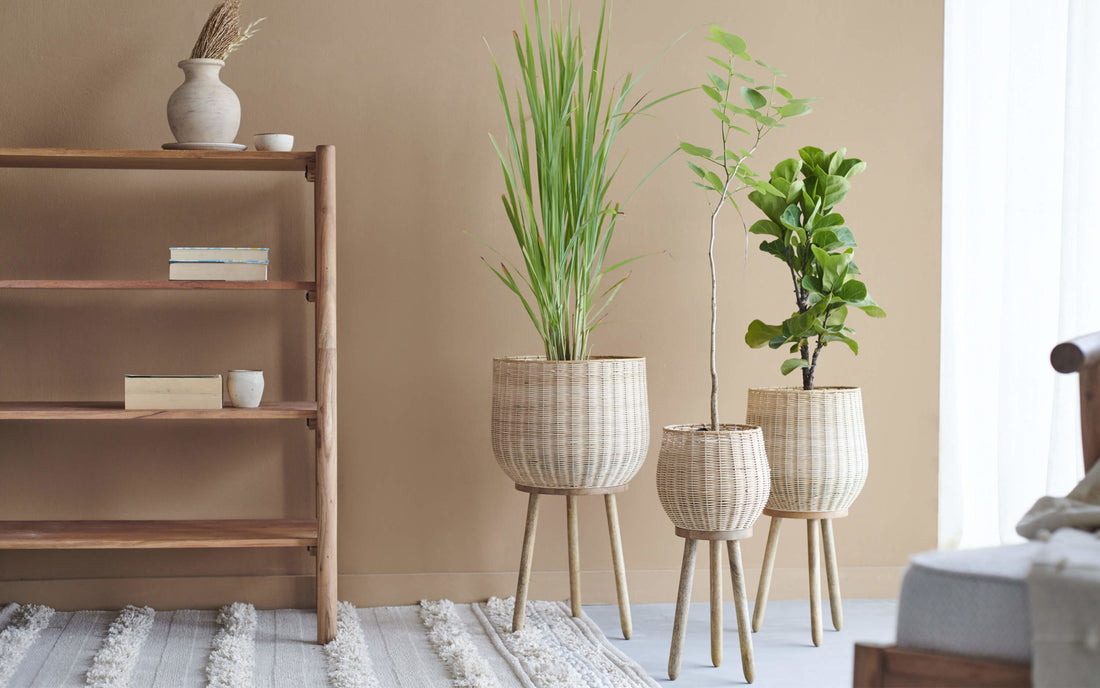 Corner Decoration Ideas for Living Room -Orange Tree