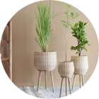 Planter