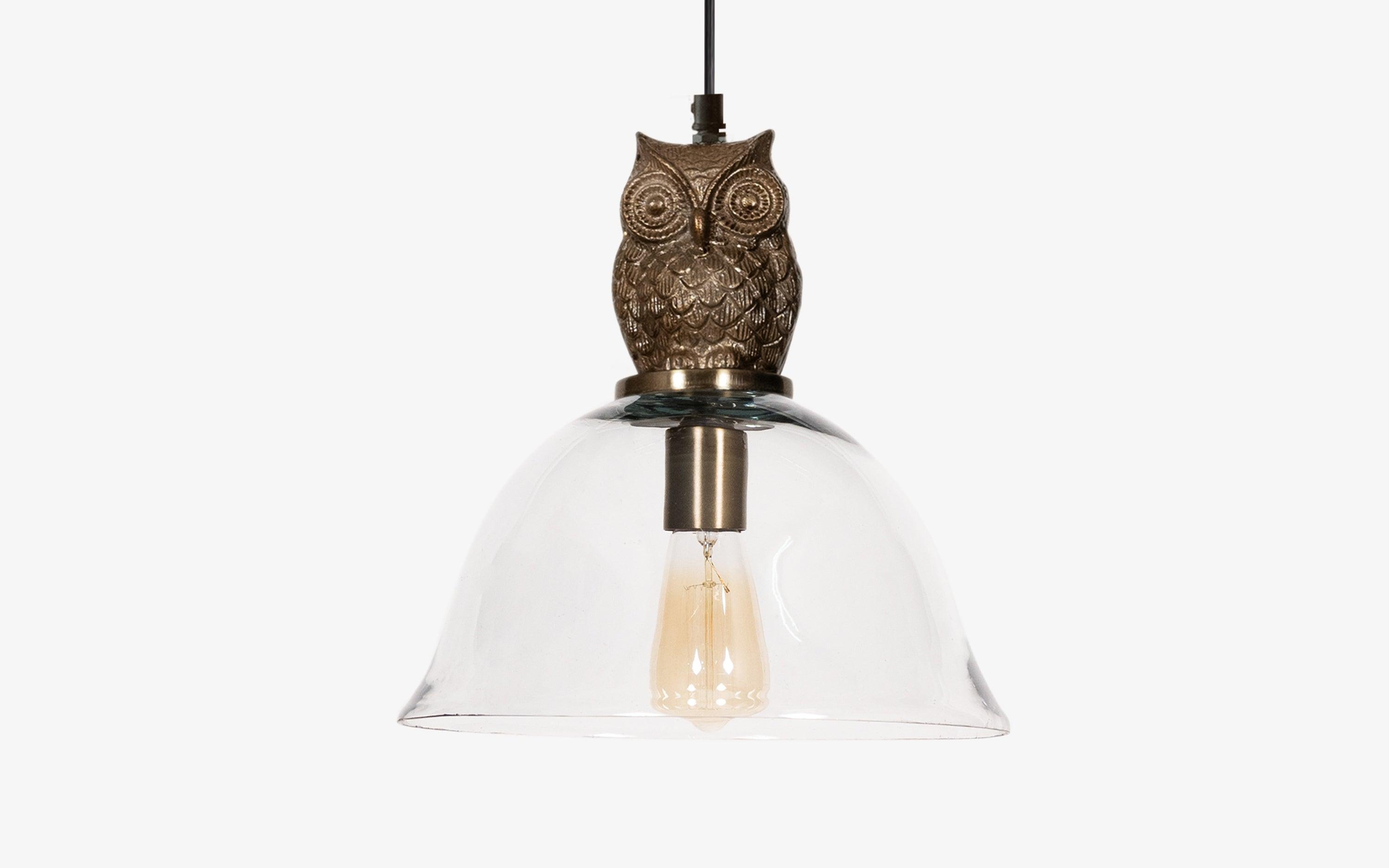 Buy Owl Glass Hanging Lamp | Filament Lamp - Close shot - from upper angle - Orange Tree