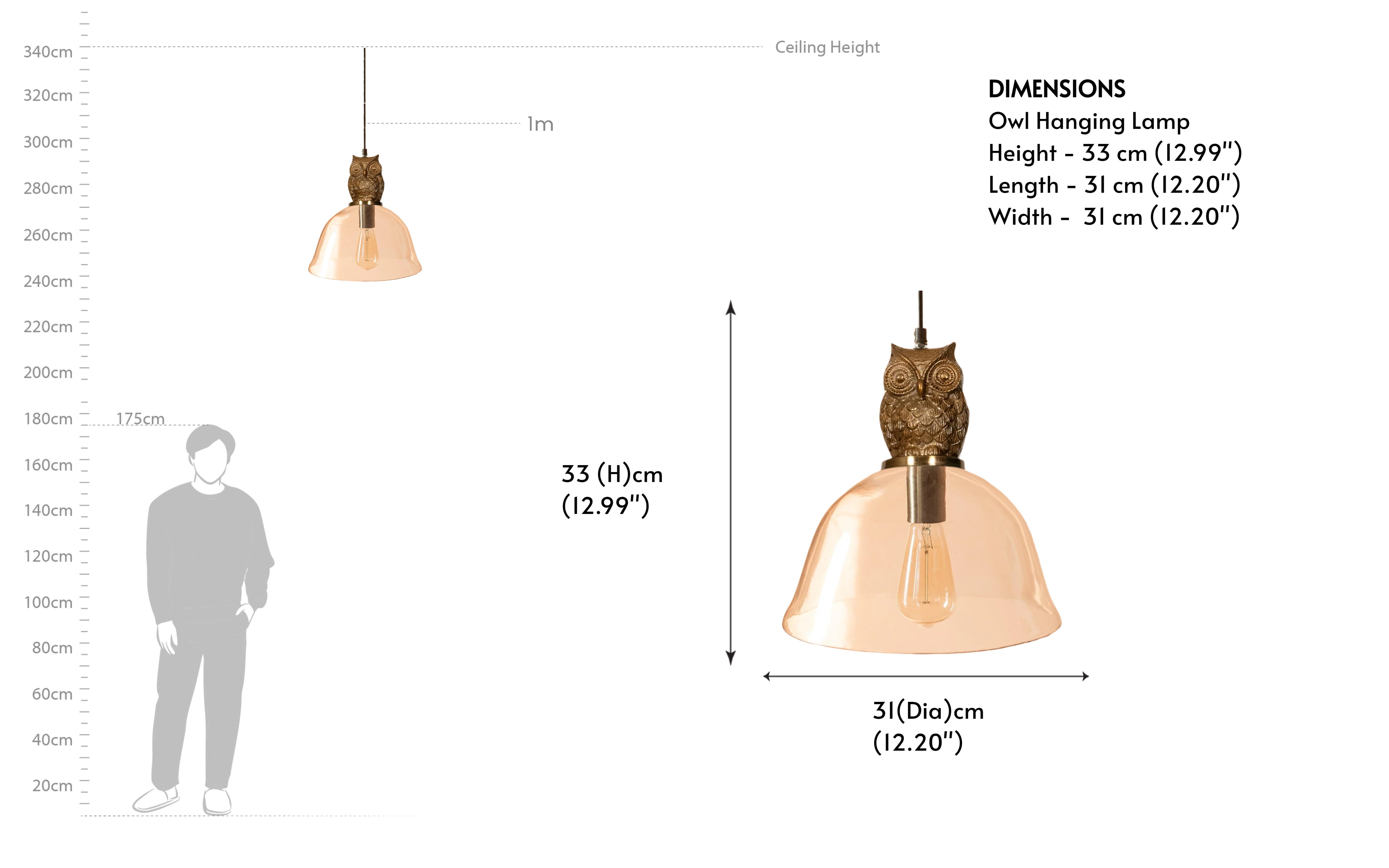 Buy Owl Glass Hanging Lamp | Filament Lamp - Close shot - from right angle - Orange Tree