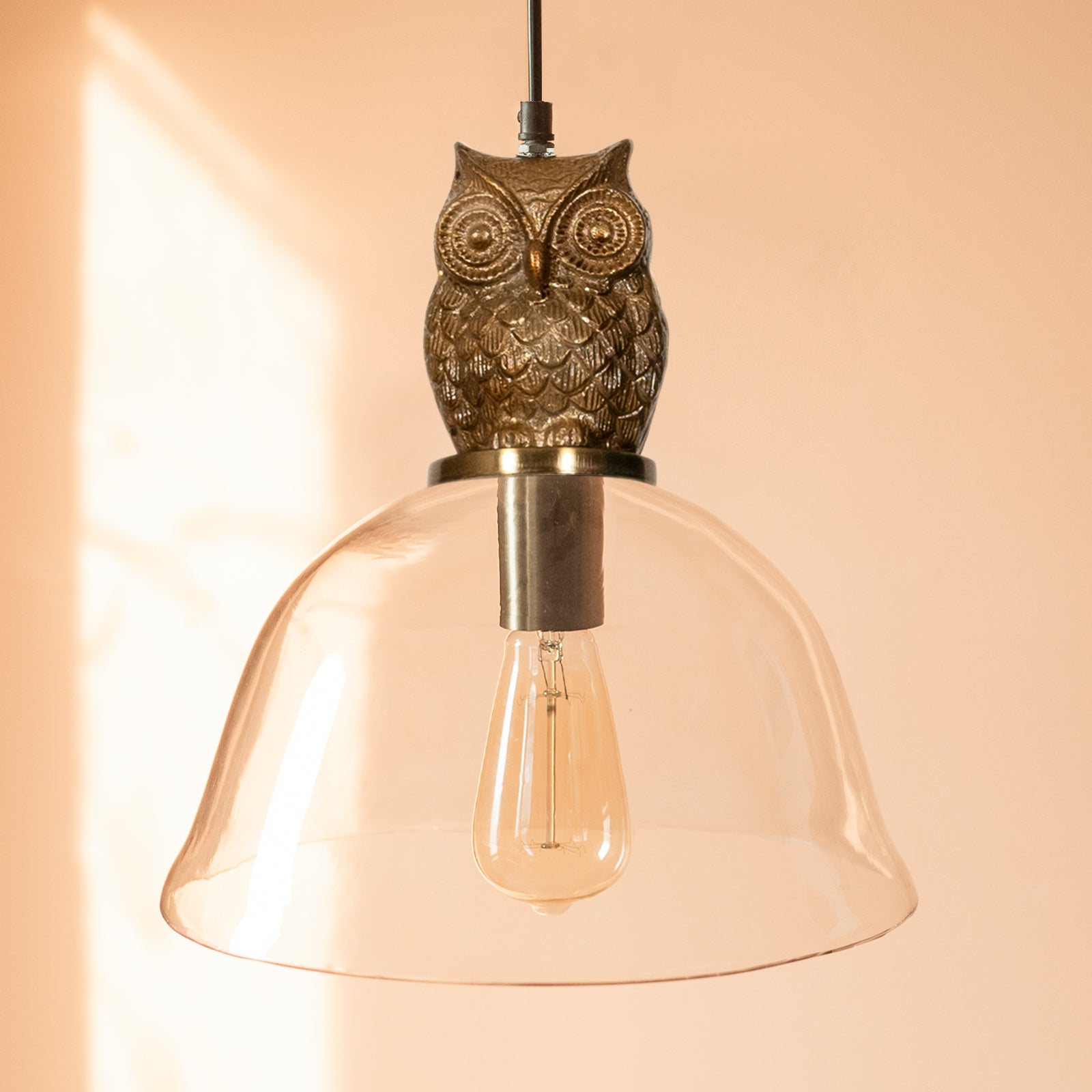 Owl Hanging fancy ceiling lights. Online Light. Orange Tree Home