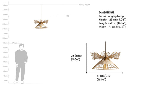 Fucius Hanging Lamp