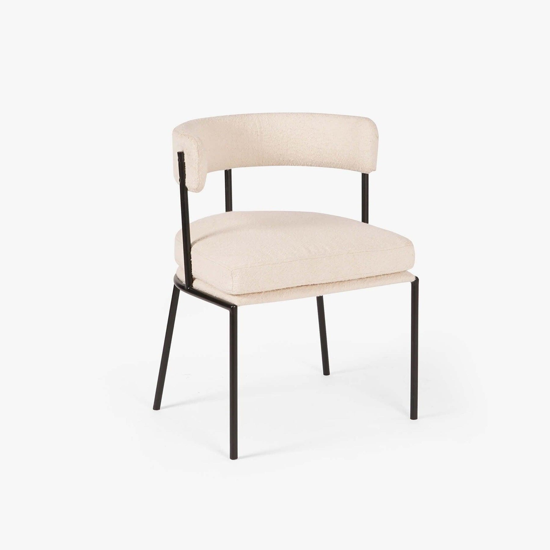 Rudra Steel Dining Chair