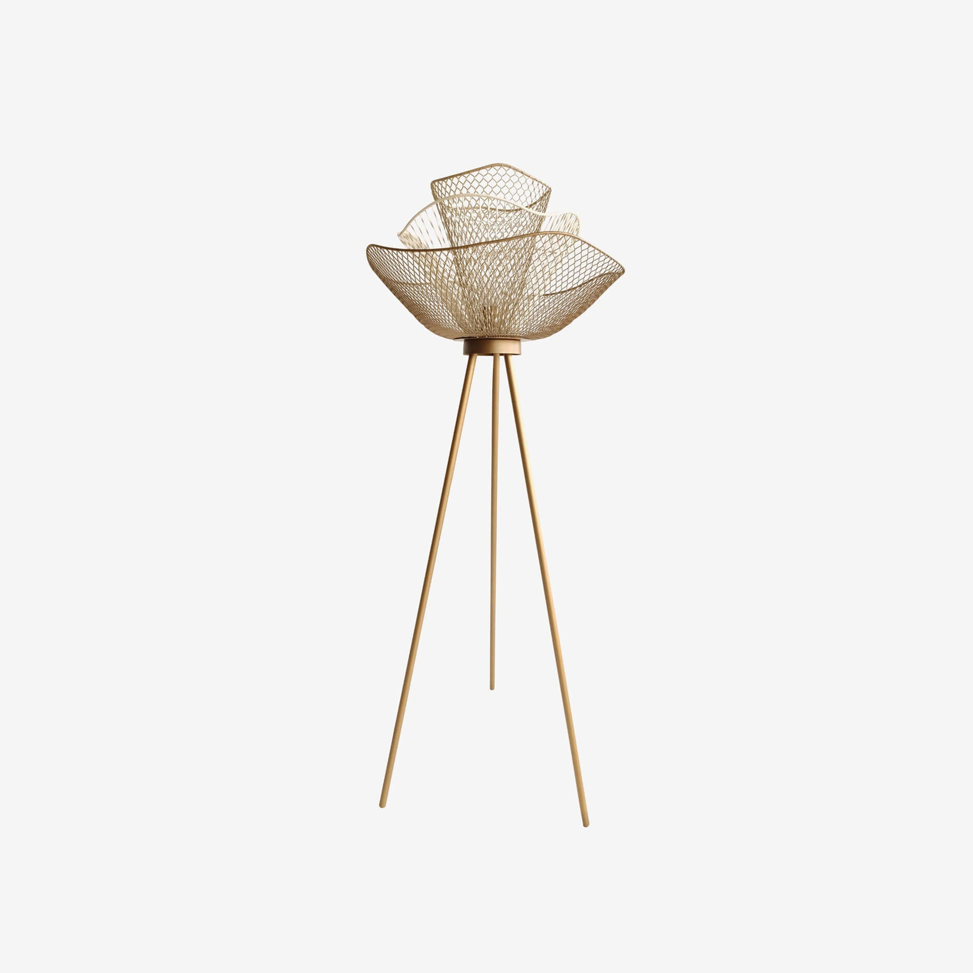 Mallawi Floor Lamp - Orange Tree Home Pvt. Ltd.