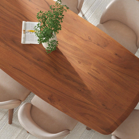Anish Dining Table