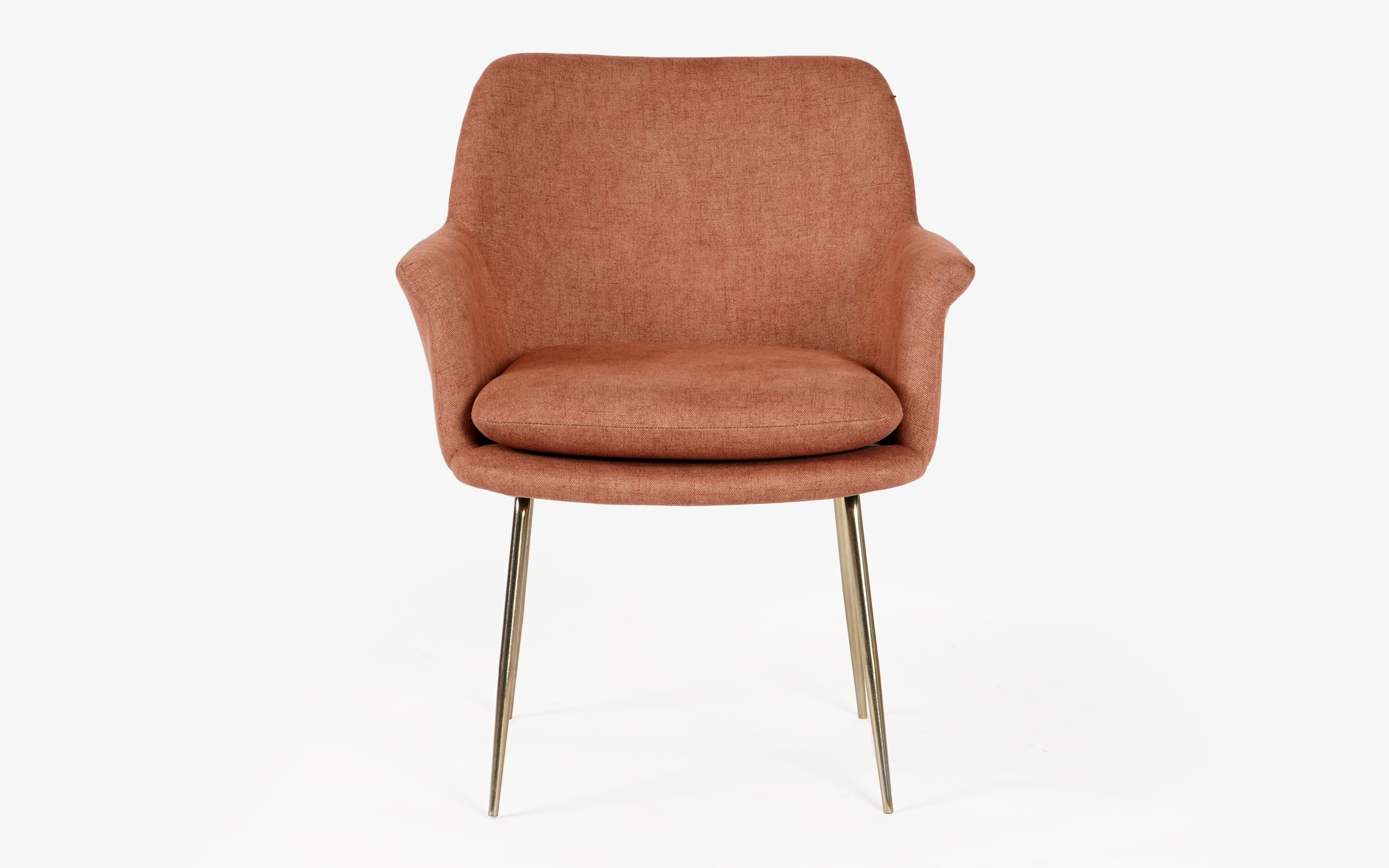 Archi Dining Chair With Soft Cushioned Arm - with white background - Orange Tree