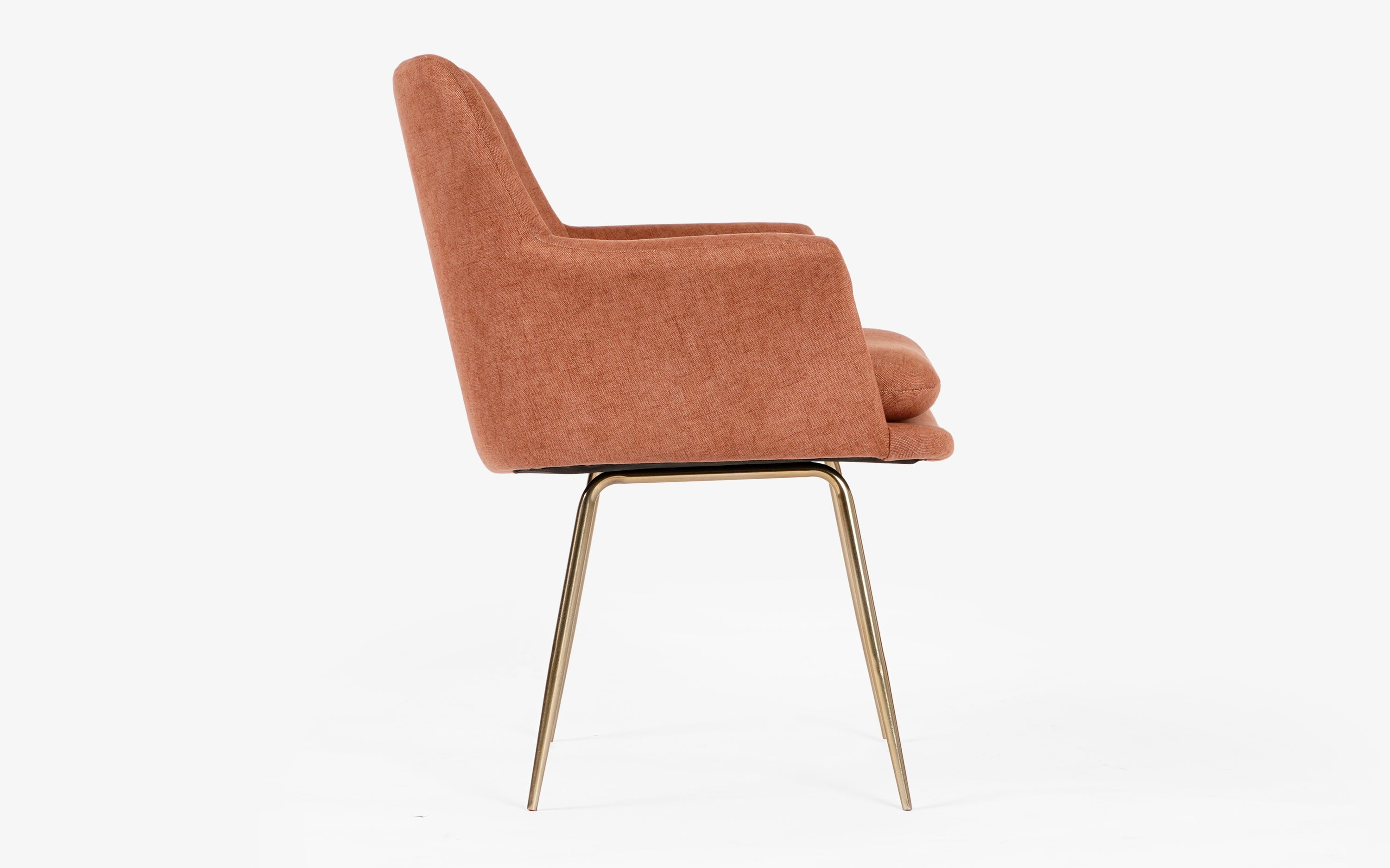 Archi Dining Chair With Soft Cushioned Arm - with white background - Orange Tree