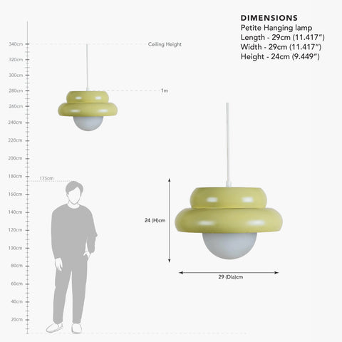 Petite Hanging lamp