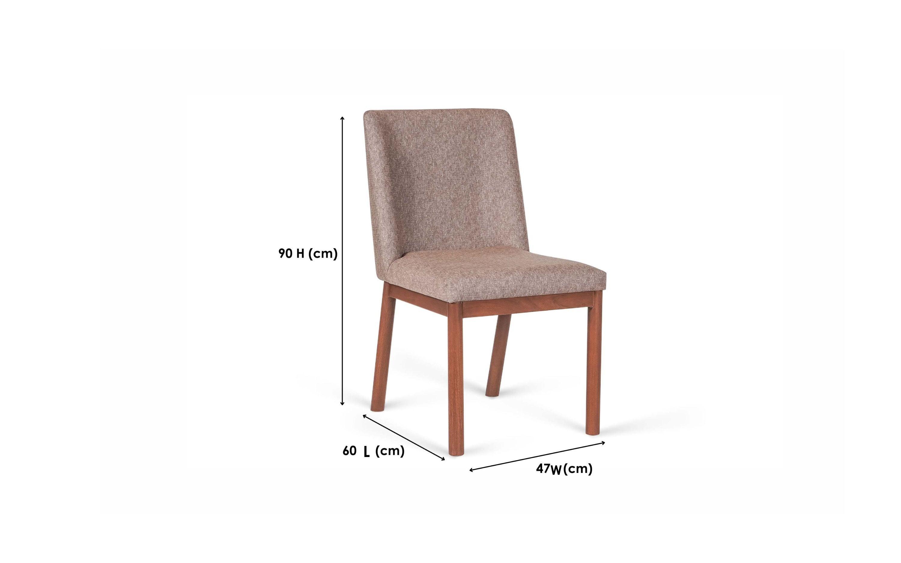 Coco Dining Chair Set Of 2- Orange Tree Home - with white background - Orange Tree