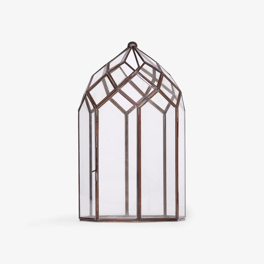 June Lantern