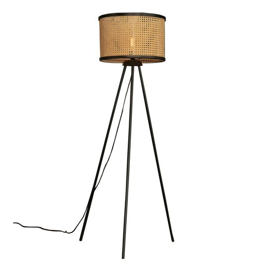 New Canna Black Floor Lamp