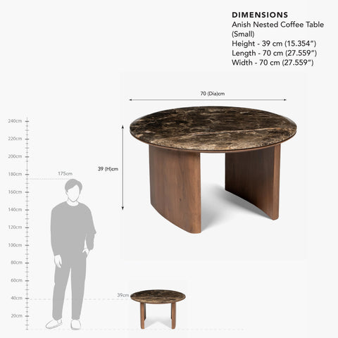 Anish Fusion Nested Coffee Table