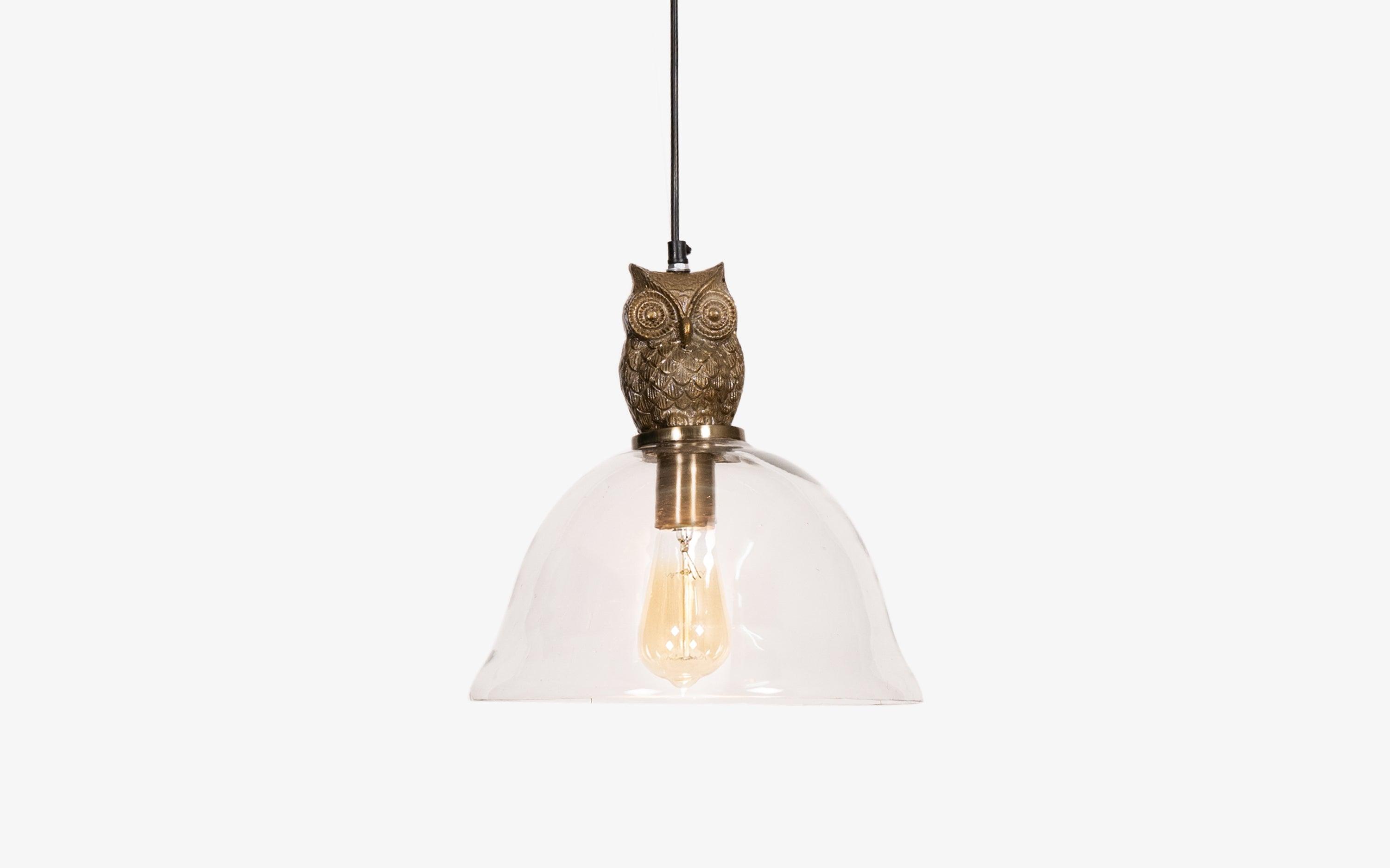 Buy Owl Glass Hanging Lamp | Filament Lamp - with white background - Orange Tree