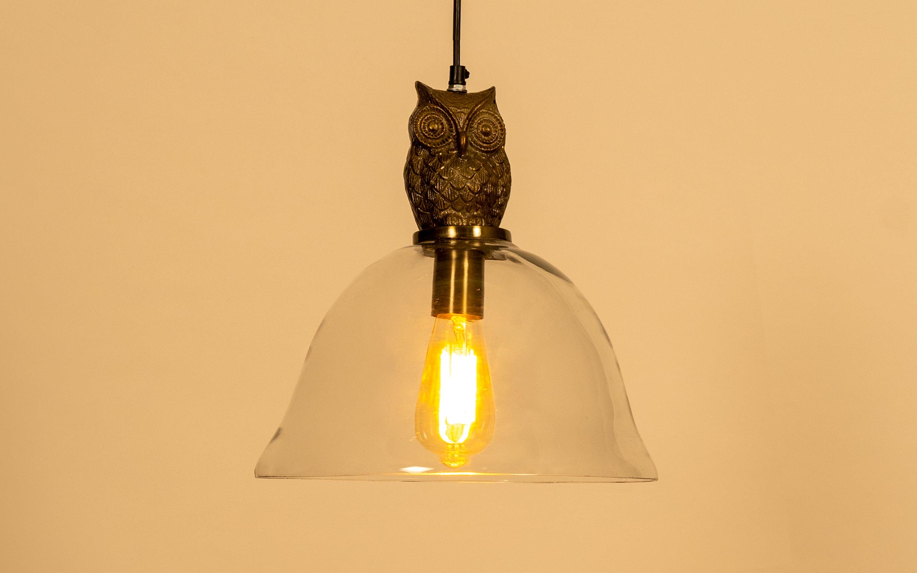 Buy Owl Glass Hanging Lamp | Filament Lamp - with white background - Orange Tree