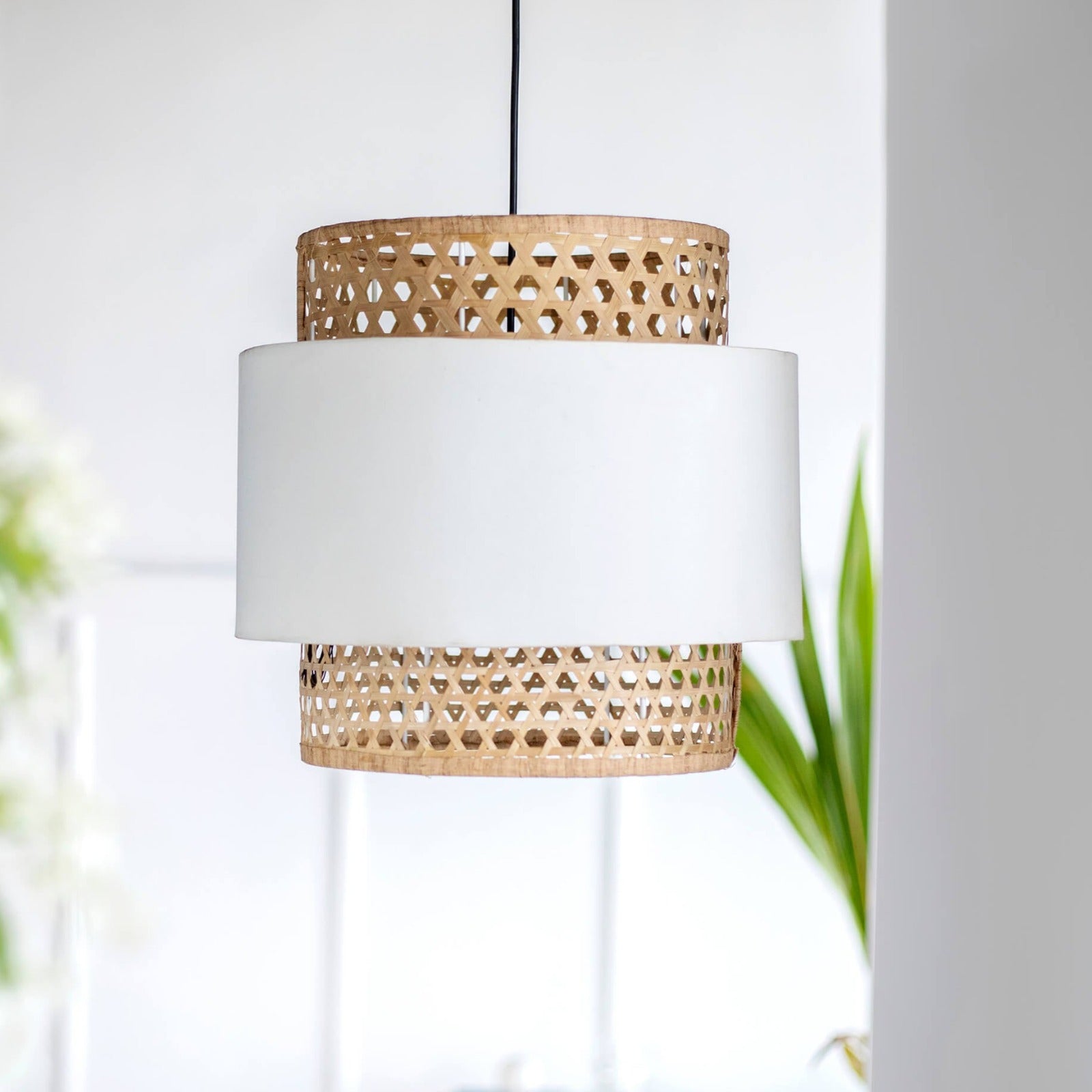 Canna Hanging Lamp Double