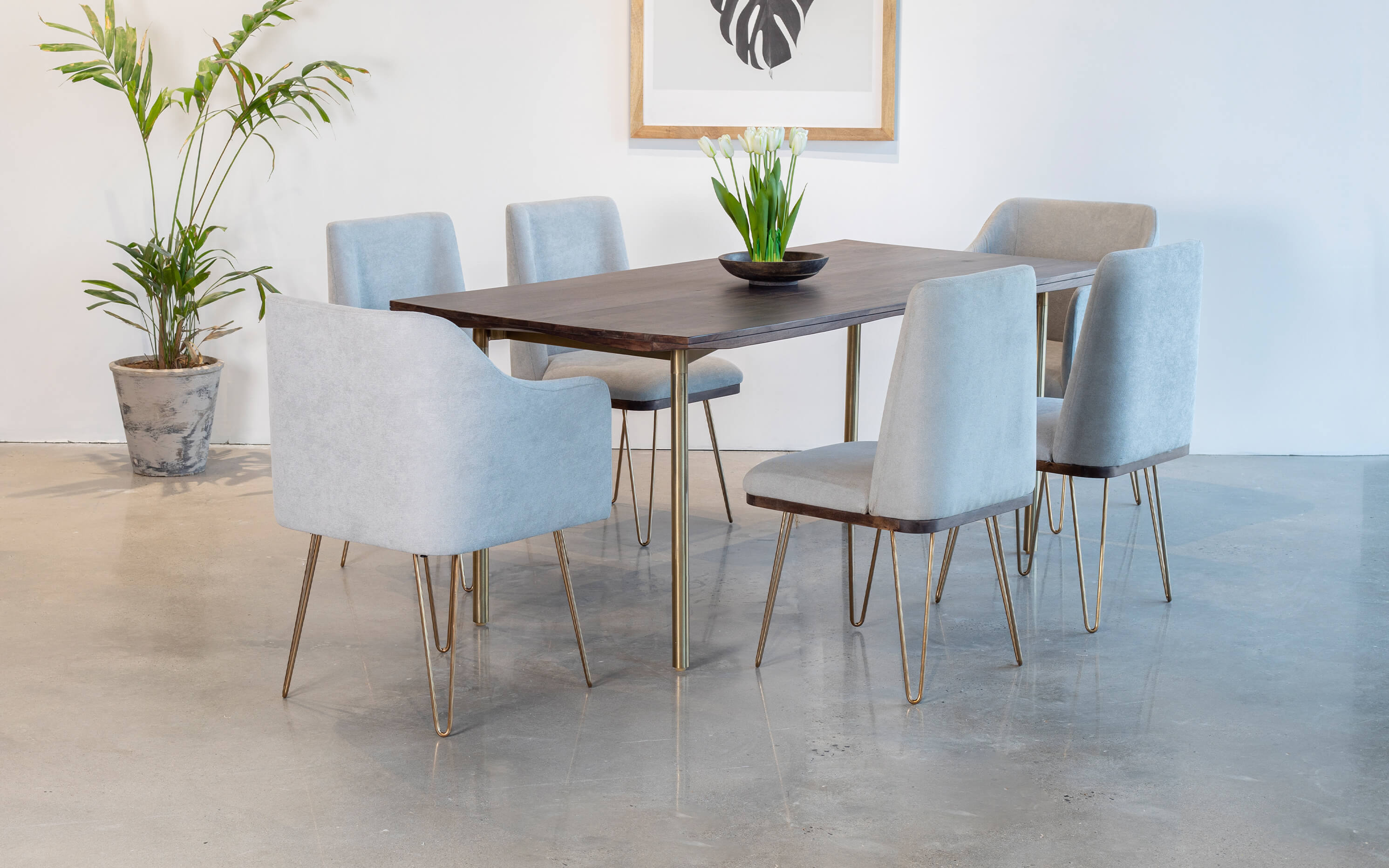 Barcelona Dining Table With 4 Without Arm and 2 Arms Chairs - Orange Tree Home Pvt. Ltd.