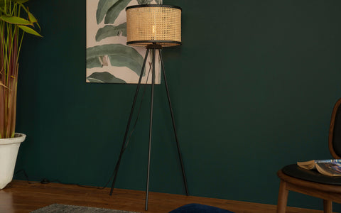 New Canna Black Floor Lamp - Orange Tree Home Pvt. Ltd.