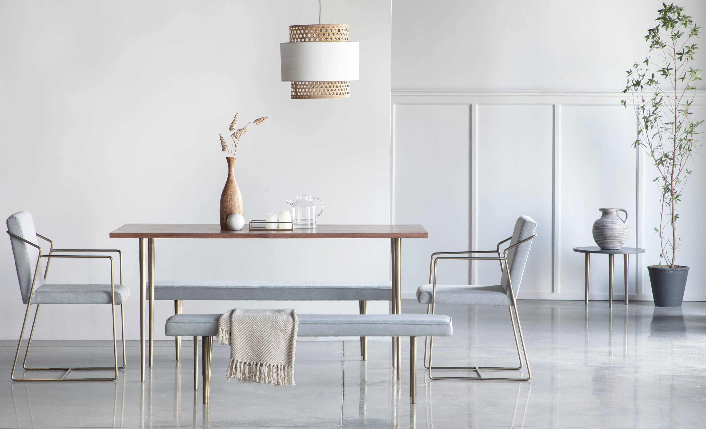 Toshi Dining Chair - Orange Tree Home Pvt. Ltd.