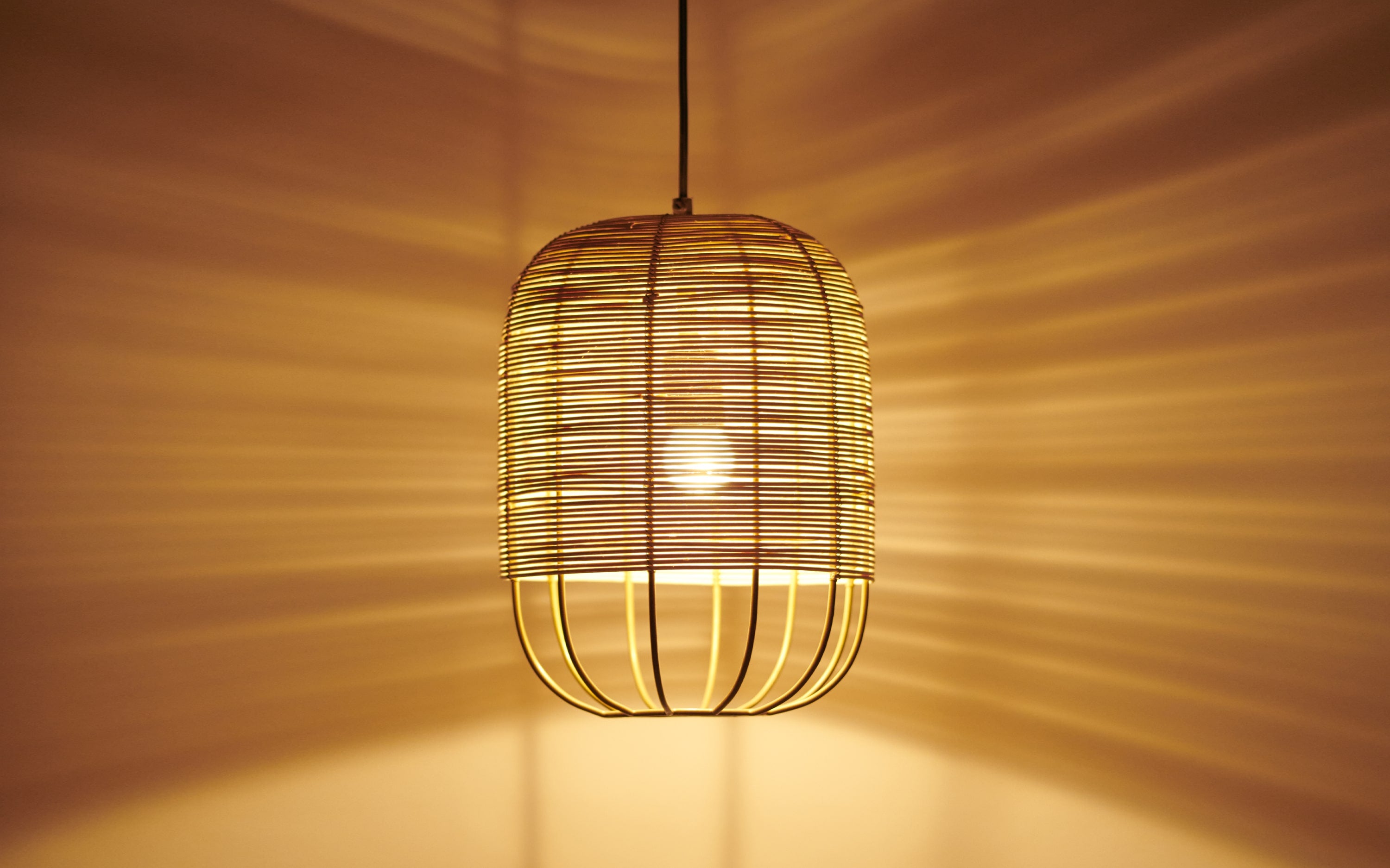 Buy Henka Natural Cane Hanging Light for Home Decor - with white background - Orange Tree