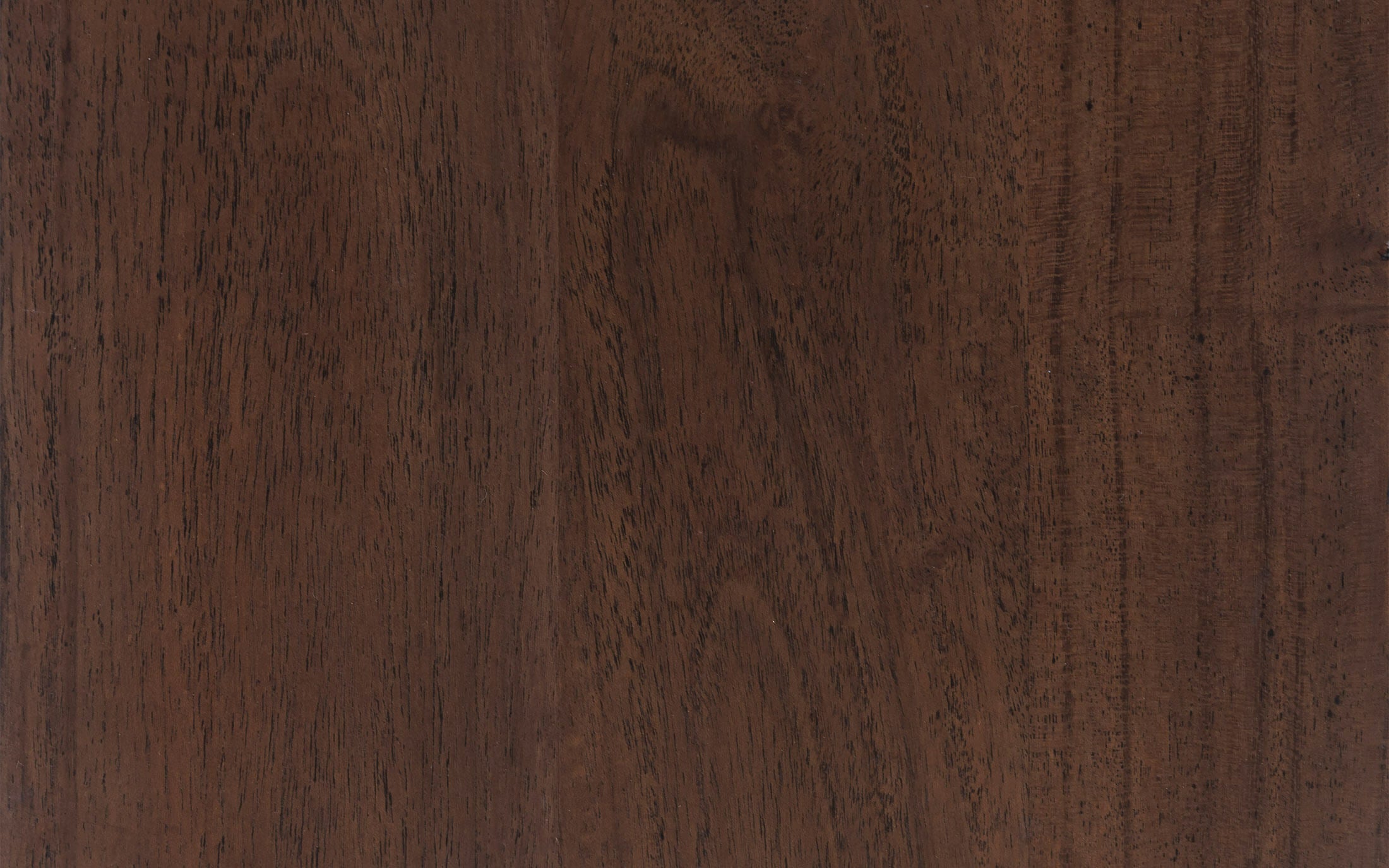 Barcelona Coffee Table - Orange Tree Home Pvt. Ltd.