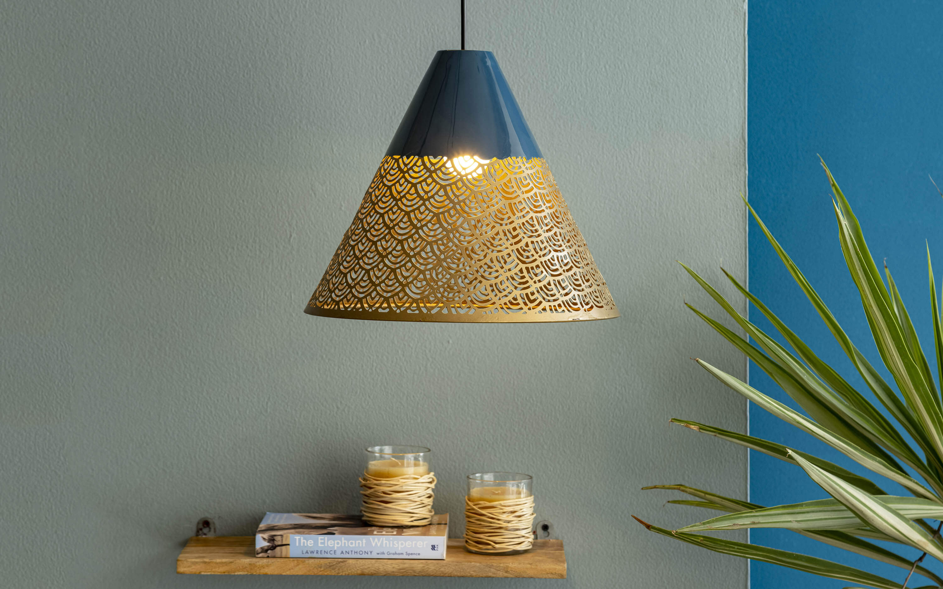 Buy Ralph Conical Metal Hanging Lamp for interior - Orange Tree